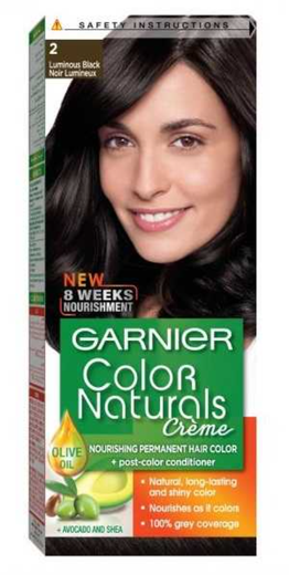 Garnier Color Naturals Hair Color - Luminous Black No.2